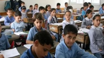 رابط مباشر.. كيفية استخراج نتائج سنوات النقل 2026 برقم الجلوس في المحافظات المصرية